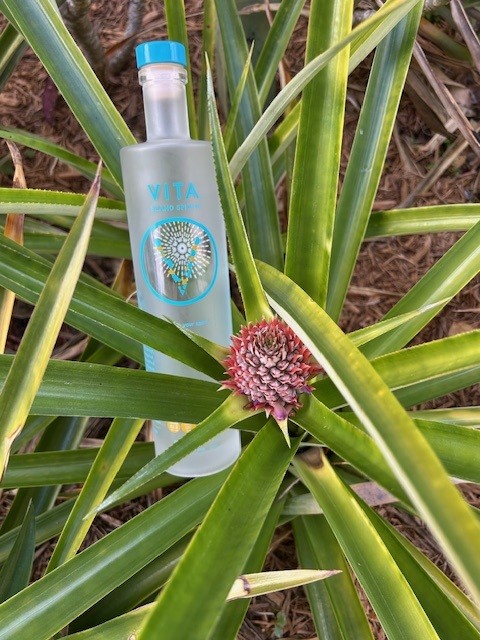 Designing Low-Effort, High-Impact VITA-V Spritzes